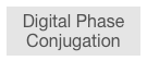 Digital Phase Conjugation