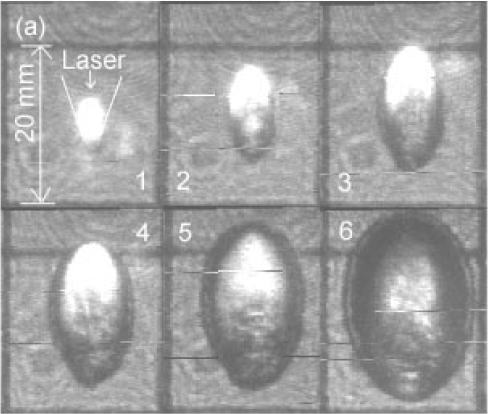 シャドウグラフ法による爆風波の様子